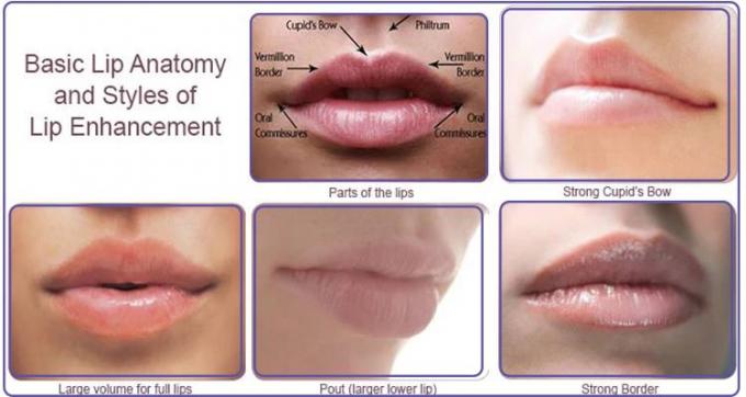 Tenga l'ingrandimento professionale delle labbra dei riempitori iniettabili del labbro dell'umidità senza chirurgia